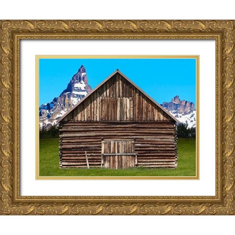 Barn Scene XI Gold Ornate Wood Framed Art Print with Double Matting by McLoughlin, James