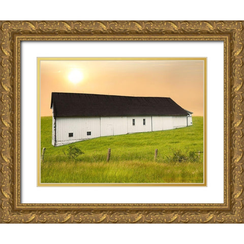 Barn Scene XIV Gold Ornate Wood Framed Art Print with Double Matting by McLoughlin, James
