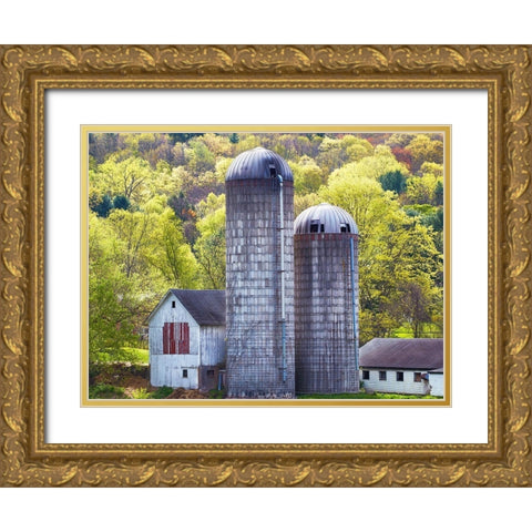 Barn Scene XV Gold Ornate Wood Framed Art Print with Double Matting by McLoughlin, James