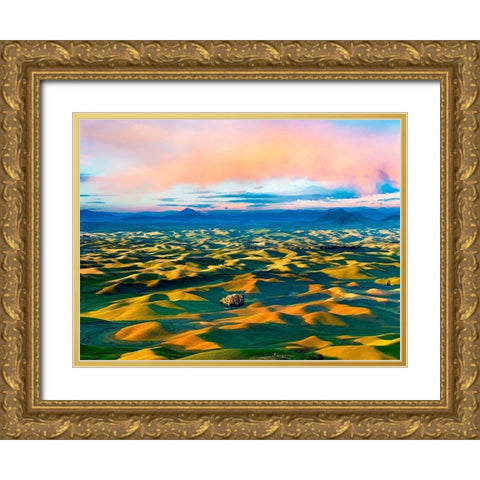Farmscape Photo II Gold Ornate Wood Framed Art Print with Double Matting by McLoughlin, James