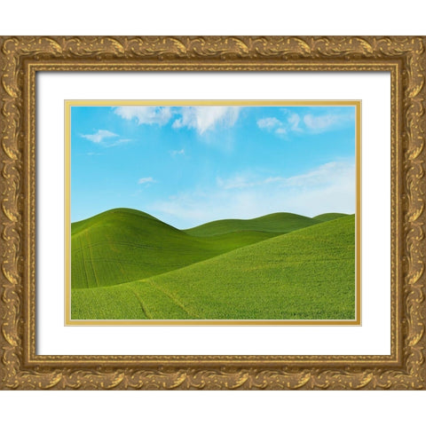 Farmscape Photo III Gold Ornate Wood Framed Art Print with Double Matting by McLoughlin, James
