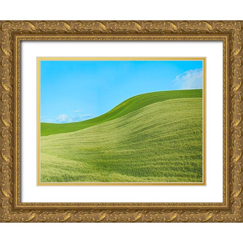 Farmscape Photo IV Gold Ornate Wood Framed Art Print with Double Matting by McLoughlin, James