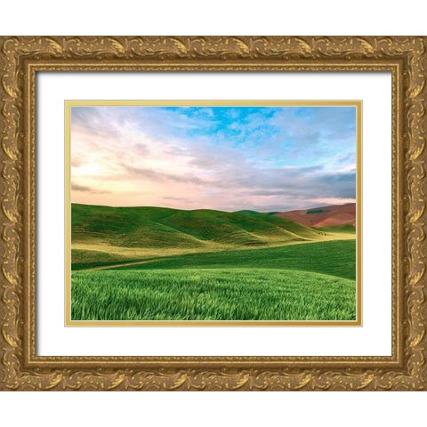 Farmscape Photo V Gold Ornate Wood Framed Art Print with Double Matting by McLoughlin, James