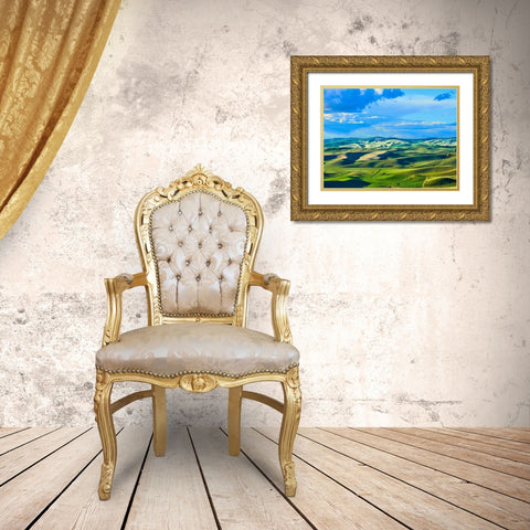 Farmscape Photo VI Gold Ornate Wood Framed Art Print with Double Matting by McLoughlin, James