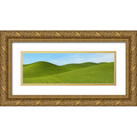 Farmscape Panorama VII Gold Ornate Wood Framed Art Print with Double Matting by McLoughlin, James