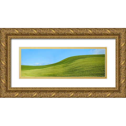 Farmscape Panorama VIII Gold Ornate Wood Framed Art Print with Double Matting by McLoughlin, James