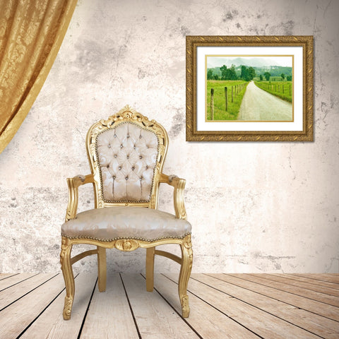 Country Road Photo I Gold Ornate Wood Framed Art Print with Double Matting by McLoughlin, James
