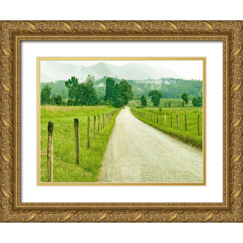 Country Road Photo I Gold Ornate Wood Framed Art Print with Double Matting by McLoughlin, James