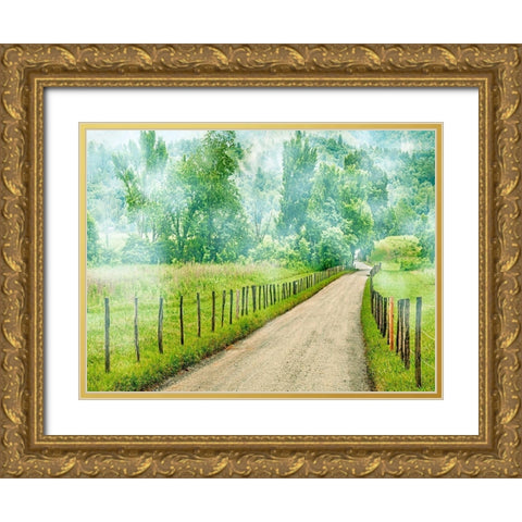 Country Road Photo II Gold Ornate Wood Framed Art Print with Double Matting by McLoughlin, James