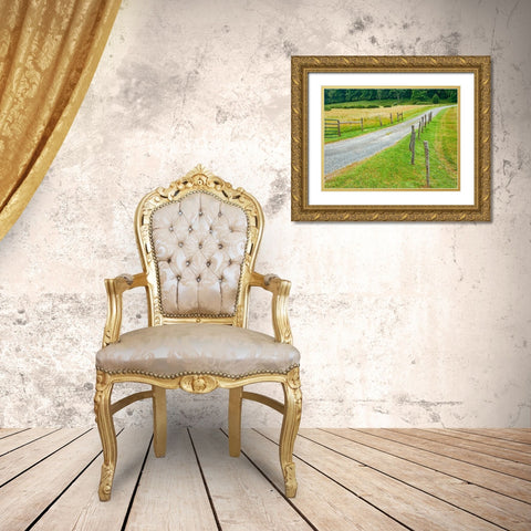 Country Road Photo III Gold Ornate Wood Framed Art Print with Double Matting by McLoughlin, James