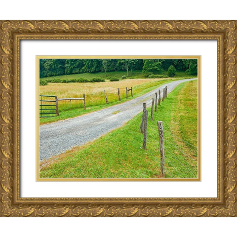 Country Road Photo III Gold Ornate Wood Framed Art Print with Double Matting by McLoughlin, James