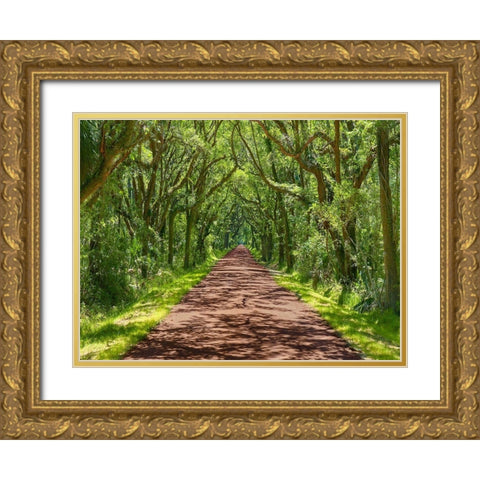 Country Road Photo IV Gold Ornate Wood Framed Art Print with Double Matting by McLoughlin, James