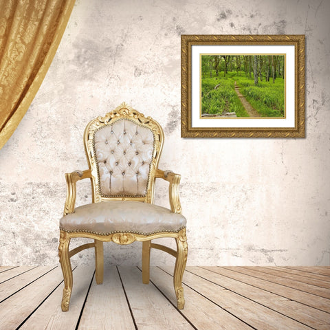 Country Road Photo V Gold Ornate Wood Framed Art Print with Double Matting by McLoughlin, James