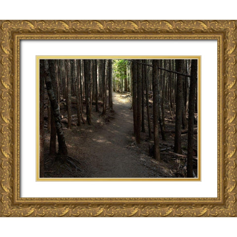 Country Road Photo VI Gold Ornate Wood Framed Art Print with Double Matting by McLoughlin, James