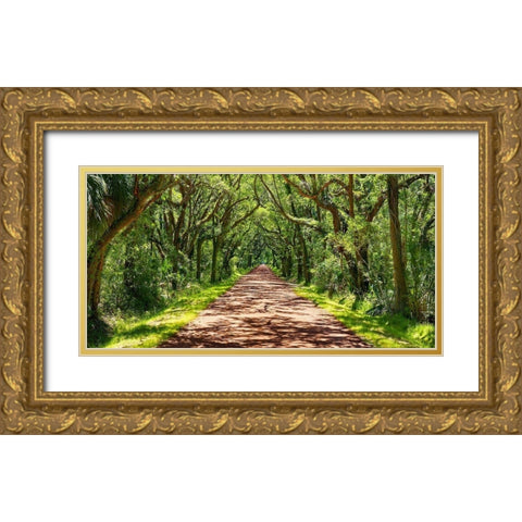 Country Road Photo VII Gold Ornate Wood Framed Art Print with Double Matting by McLoughlin, James