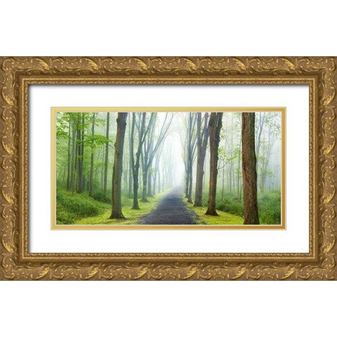 Country Road Photo VIII Gold Ornate Wood Framed Art Print with Double Matting by McLoughlin, James