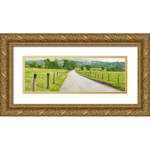 Country Road Panorama I Gold Ornate Wood Framed Art Print with Double Matting by McLoughlin, James