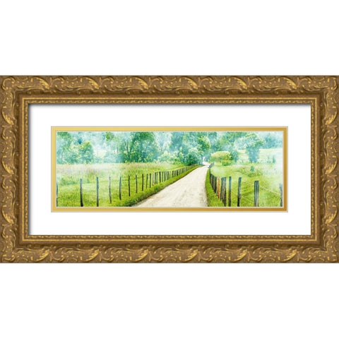 Country Road Panorama II Gold Ornate Wood Framed Art Print with Double Matting by McLoughlin, James