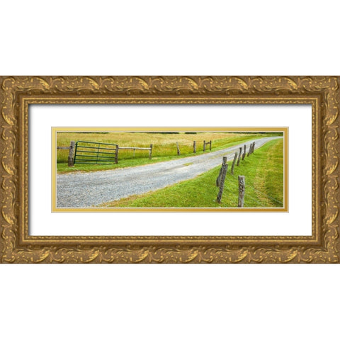 Country Road Panorama III Gold Ornate Wood Framed Art Print with Double Matting by McLoughlin, James
