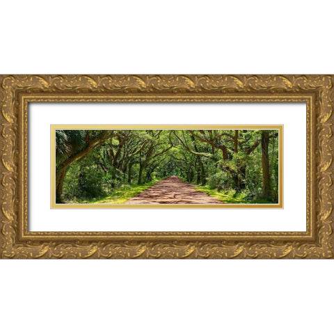 Country Road Panorama IV Gold Ornate Wood Framed Art Print with Double Matting by McLoughlin, James