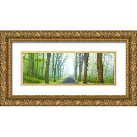 Country Road Panorama V Gold Ornate Wood Framed Art Print with Double Matting by McLoughlin, James