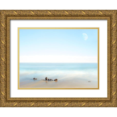 Beachscape Photo V Gold Ornate Wood Framed Art Print with Double Matting by McLoughlin, James