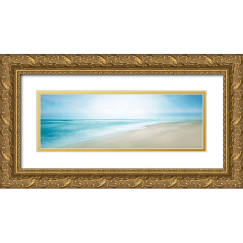 Beachscape Panorama VIII Gold Ornate Wood Framed Art Print with Double Matting by McLoughlin, James