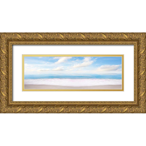 Beachscape Panorama XI Gold Ornate Wood Framed Art Print with Double Matting by McLoughlin, James