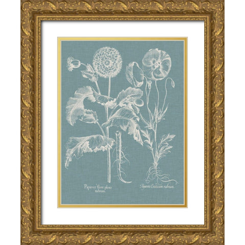 Besler Poppies II Gold Ornate Wood Framed Art Print with Double Matting by Besler, Basilius