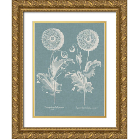 Besler Poppies III Gold Ornate Wood Framed Art Print with Double Matting by Besler, Basilius
