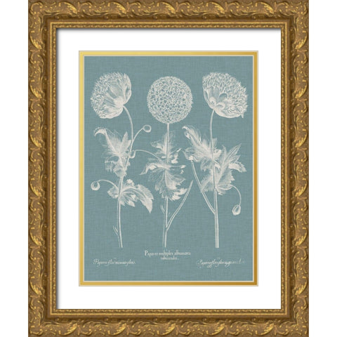 Besler Poppies IV Gold Ornate Wood Framed Art Print with Double Matting by Besler, Basilius