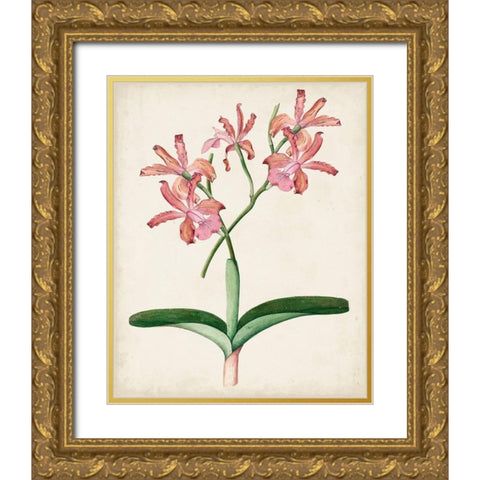 Orchid Pair I Gold Ornate Wood Framed Art Print with Double Matting by Unknown