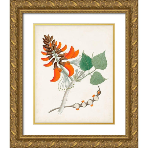 Botanical of the Tropics I Gold Ornate Wood Framed Art Print with Double Matting by Unknown