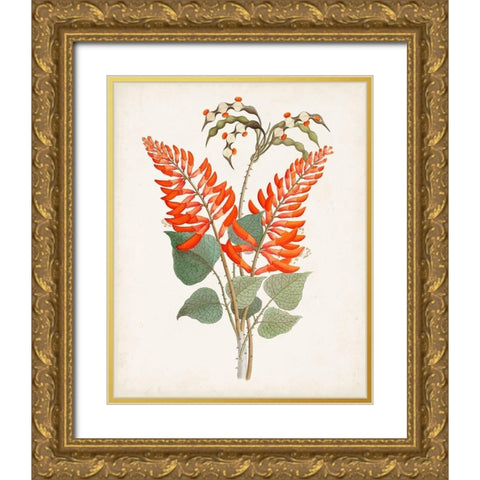Botanical of the Tropics II Gold Ornate Wood Framed Art Print with Double Matting by Unknown