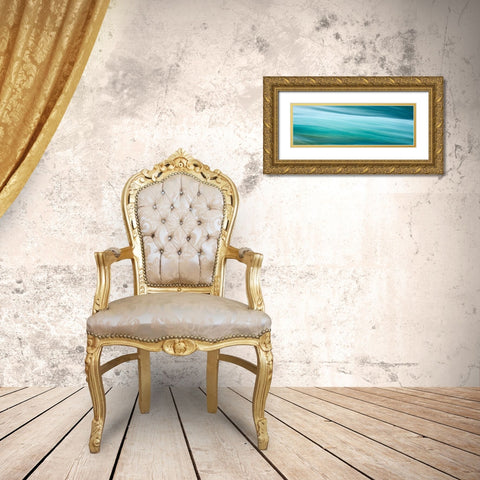 Before the Falls Panorama I Gold Ornate Wood Framed Art Print with Double Matting by McLoughlin, James