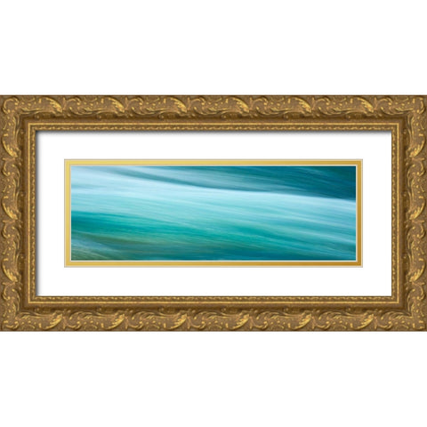 Before the Falls Panorama I Gold Ornate Wood Framed Art Print with Double Matting by McLoughlin, James