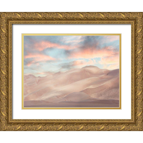 Colorado Dunes I Gold Ornate Wood Framed Art Print with Double Matting by McLoughlin, James