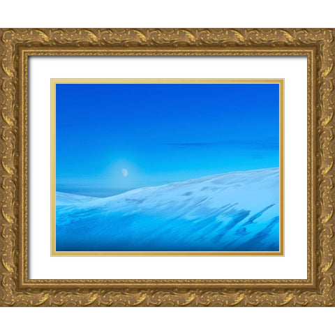 Colorado Dunes III Gold Ornate Wood Framed Art Print with Double Matting by McLoughlin, James