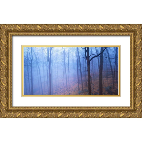 Harriman Woods VI Gold Ornate Wood Framed Art Print with Double Matting by McLoughlin, James