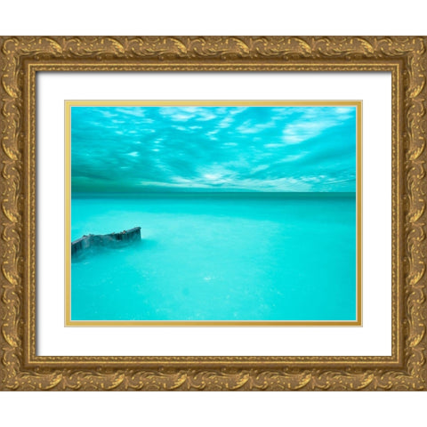 Lakescape VII Gold Ornate Wood Framed Art Print with Double Matting by McLoughlin, James