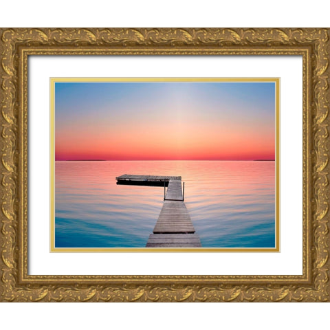 Lakescape X Gold Ornate Wood Framed Art Print with Double Matting by McLoughlin, James