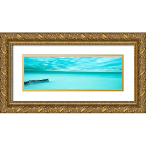 Lakescape Panorama V Gold Ornate Wood Framed Art Print with Double Matting by McLoughlin, James