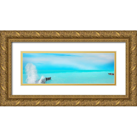 Lakescape Panorama VI Gold Ornate Wood Framed Art Print with Double Matting by McLoughlin, James