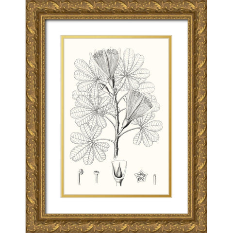 Illustrative Leaves II Gold Ornate Wood Framed Art Print with Double Matting by Vision Studio