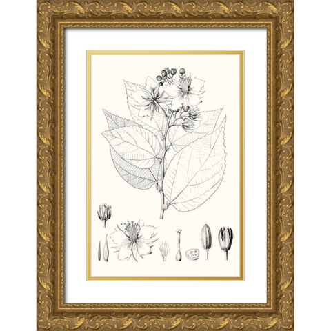 Illustrative Leaves III Gold Ornate Wood Framed Art Print with Double Matting by Vision Studio