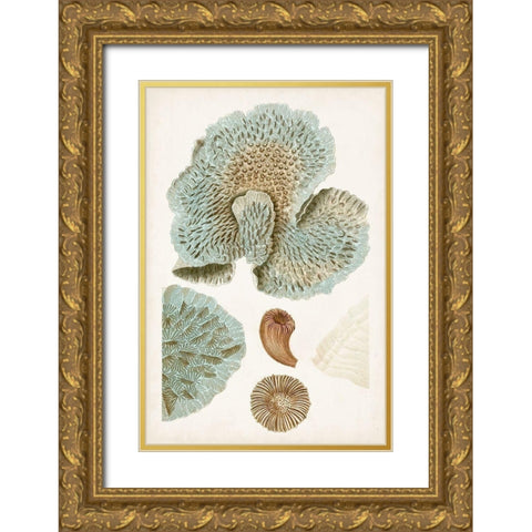 Coastal Curiosity V Gold Ornate Wood Framed Art Print with Double Matting by Unknown