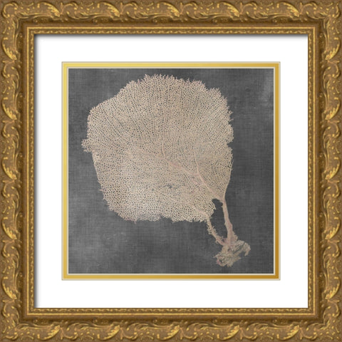 Natural Sea Fan II Gold Ornate Wood Framed Art Print with Double Matting by Vision Studio