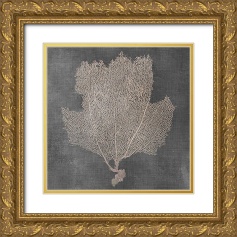 Natural Sea Fan III Gold Ornate Wood Framed Art Print with Double Matting by Vision Studio