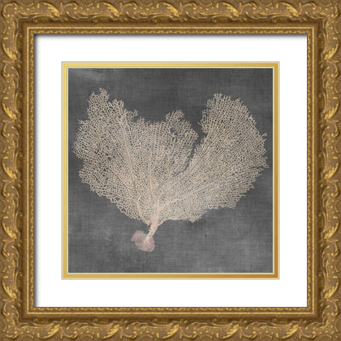 Natural Sea Fan VI Gold Ornate Wood Framed Art Print with Double Matting by Vision Studio