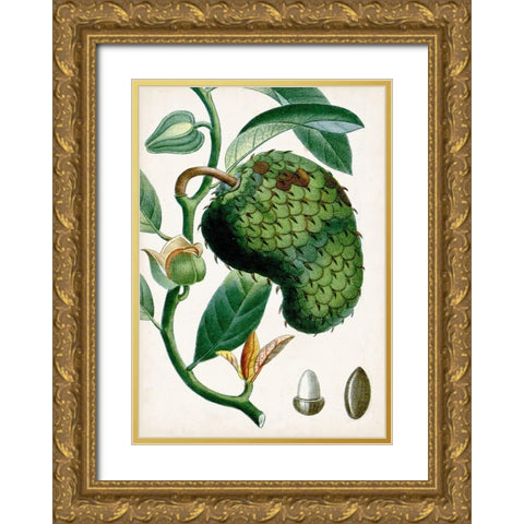 Turpin Tropical Fruit VIII Gold Ornate Wood Framed Art Print with Double Matting by Turpin